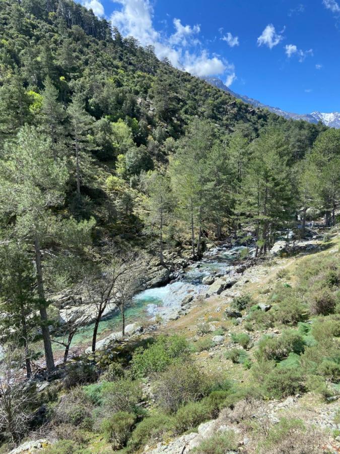 U Pasturellu Bed & Breakfast Pioggiola Bagian luar foto