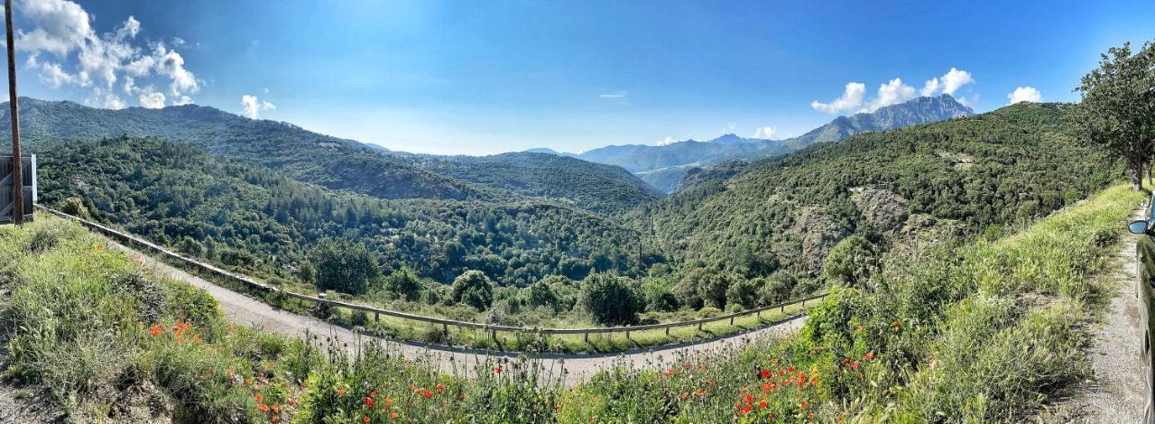 U Pasturellu Bed & Breakfast Pioggiola Bagian luar foto