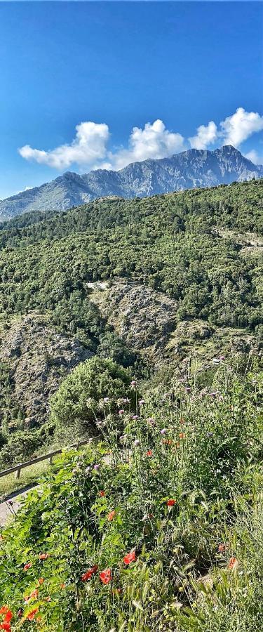U Pasturellu Bed & Breakfast Pioggiola Bagian luar foto